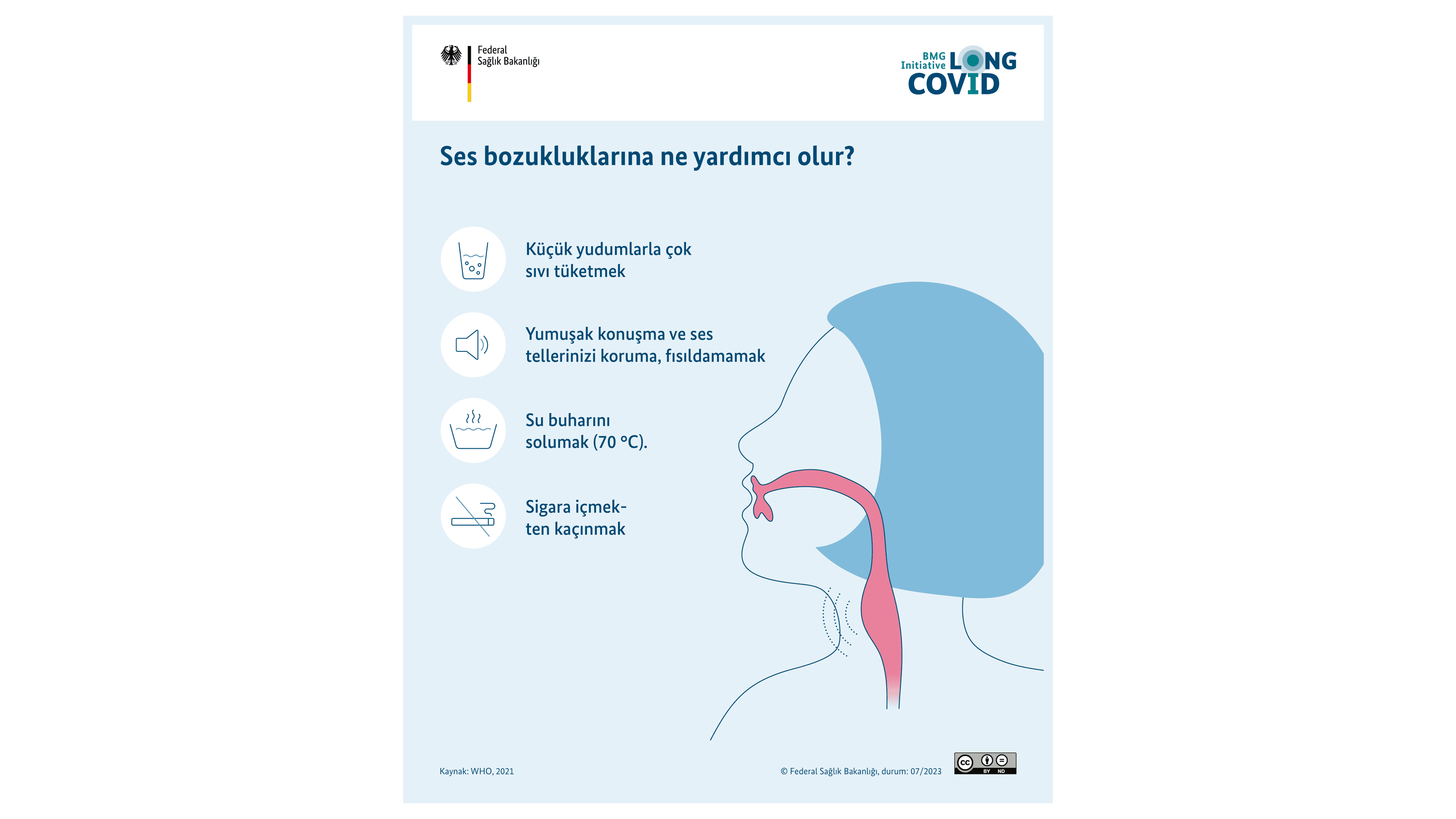 Grafik: Ses bozukluğu ile başa çıkmak için ipuçları, insan vücudundaki ağız ve boğaz bölgesini görebilirsiniz