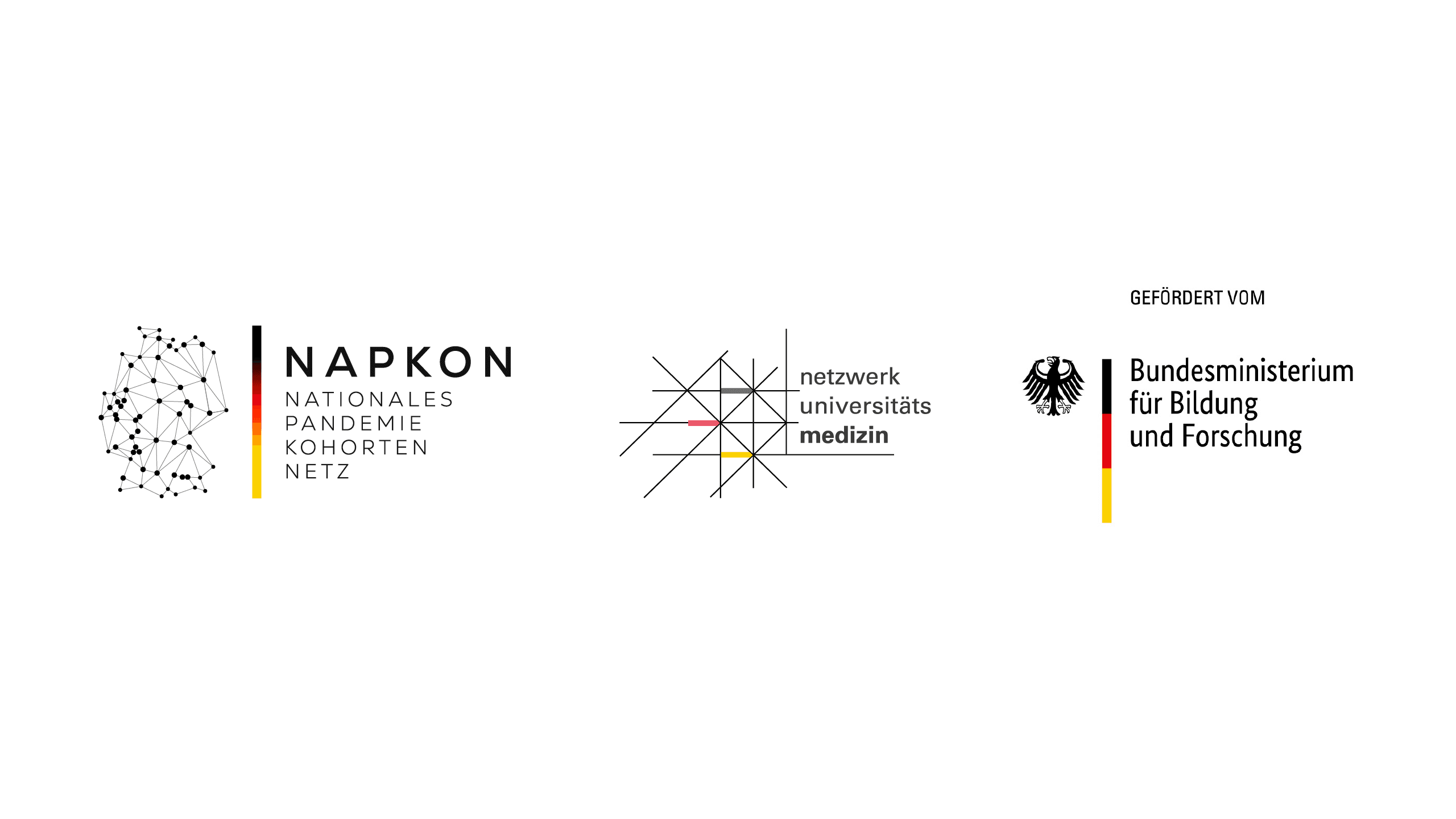 NAPKON logo
